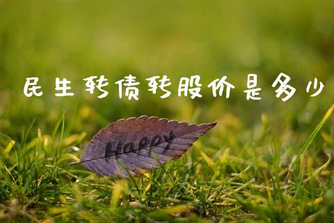 民生转债转股价是多少_https://wap.lcpcjs.com_美股行情_第1张
