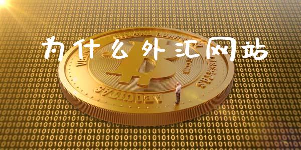 为什么外汇网站_https://wap.lcpcjs.com_股港行情_第1张