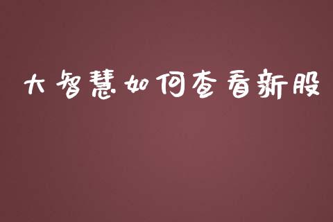 大智慧如何查看新股_https://wap.lcpcjs.com_股港行情_第1张