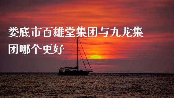 娄底市百雄堂集团与九龙集团哪个更好_https://wap.lcpcjs.com_股港行情_第1张