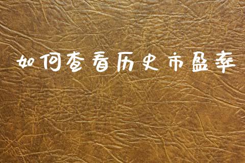 如何查看历史市盈率_https://wap.lcpcjs.com_美股行情_第1张