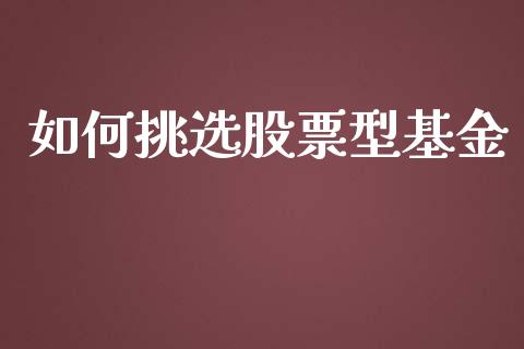如何挑选股票型基金_https://wap.lcpcjs.com_全球经济_第1张