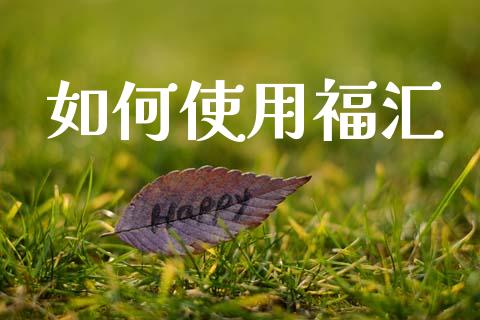 如何使用福汇_https://wap.lcpcjs.com_美股行情_第1张