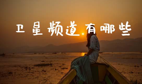 卫星频道有哪些_https://wap.lcpcjs.com_美股行情_第1张