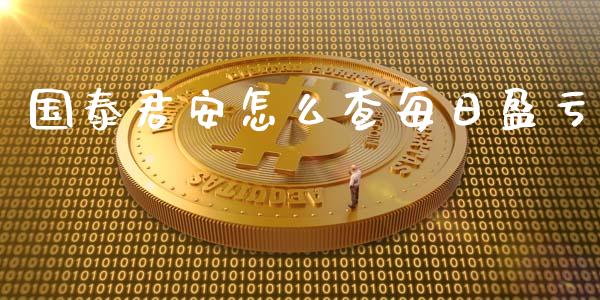 国泰君安怎么查每日盈亏_https://wap.lcpcjs.com_美股行情_第1张