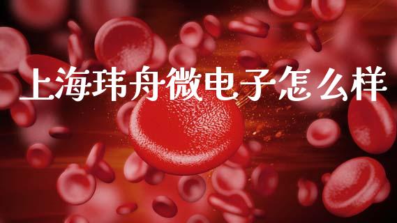 上海玮舟微电子怎么样_https://wap.lcpcjs.com_美股行情_第1张