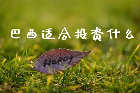 巴西适合投资什么_https://wap.lcpcjs.com_外汇市场_第1张