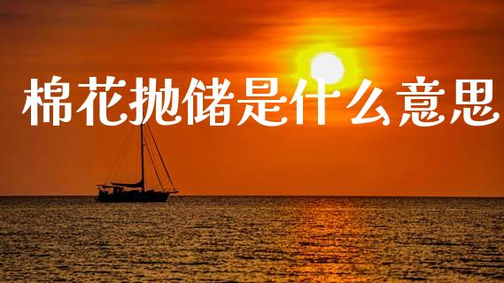 棉花抛储是什么意思_https://wap.lcpcjs.com_外汇市场_第1张