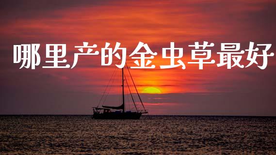 哪里产的金虫草最好_https://wap.lcpcjs.com_全球经济_第1张