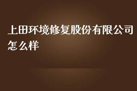 上田环境修复股份有限公司怎么样_https://wap.lcpcjs.com_股港行情_第1张