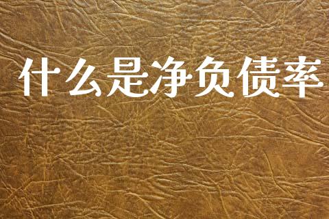 什么是净负债率_全球经济_第1张_全球经济_美股行情_外汇市场_股港行情 什么是净负债率_https://wap.lcpcjs.com_全球经济_第1张