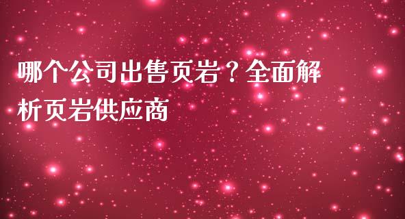 哪个公司出售页岩？全面解析页岩供应商_https://wap.lcpcjs.com_全球经济_第1张