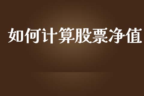 如何计算股票净值_https://wap.lcpcjs.com_外汇市场_第1张