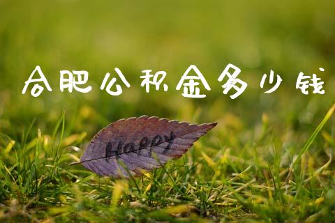 合肥公积金多少钱_https://wap.lcpcjs.com_美股行情_第1张