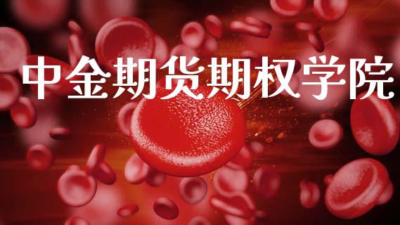 中金期货期权学院_https://wap.lcpcjs.com_美股行情_第1张