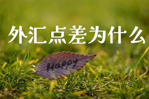 外汇点差为什么_https://wap.lcpcjs.com_股港行情_第1张