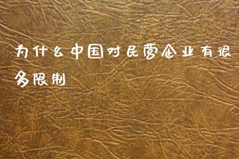 为什么中国对民营企业有很多限制_https://wap.lcpcjs.com_美股行情_第1张