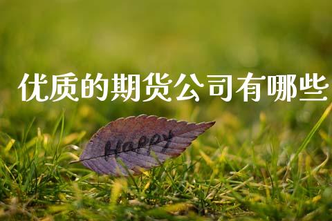 优质的期货公司有哪些_https://wap.lcpcjs.com_股港行情_第1张