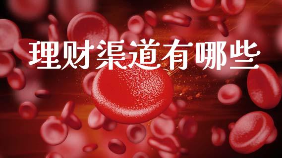 理财渠道有哪些_https://wap.lcpcjs.com_美股行情_第1张