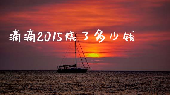 滴滴2015烧了多少钱_https://wap.lcpcjs.com_美股行情_第1张