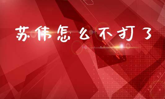 苏伟怎么不打了_https://wap.lcpcjs.com_美股行情_第1张