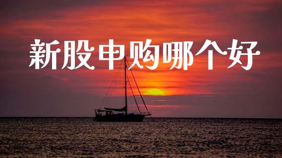 新股申购哪个好_https://wap.lcpcjs.com_股港行情_第1张