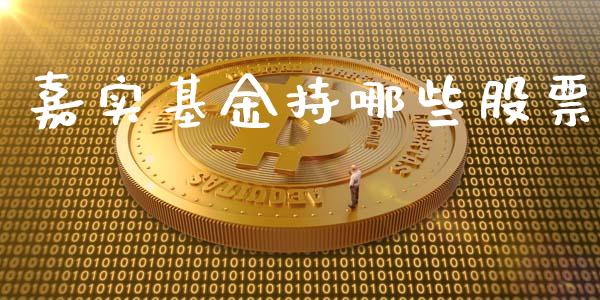嘉实基金持哪些股票_https://wap.lcpcjs.com_美股行情_第1张