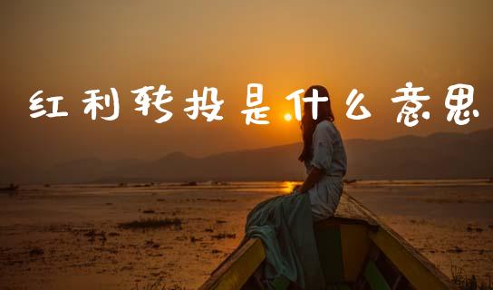 红利转投是什么意思_外汇市场_第1张_全球经济_美股行情_外汇市场_股港行情 红利转投是什么意思_https://wap.lcpcjs.com_外汇市场_第1张