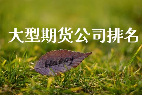 大型期货公司排名_https://wap.lcpcjs.com_外汇市场_第1张