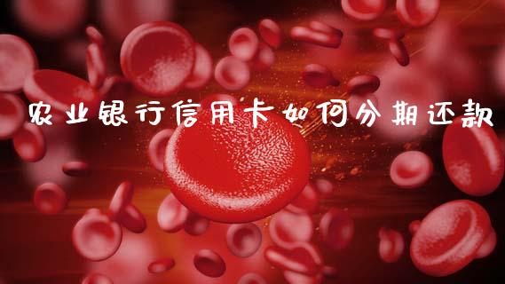农业银行信用卡如何分期还款_https://wap.lcpcjs.com_全球经济_第1张