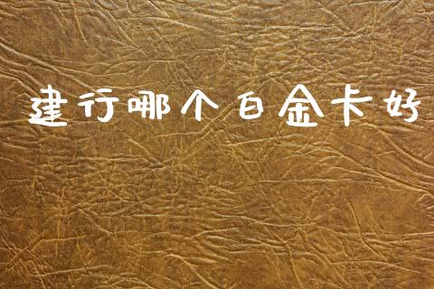 建行哪个白金卡好_https://wap.lcpcjs.com_美股行情_第1张