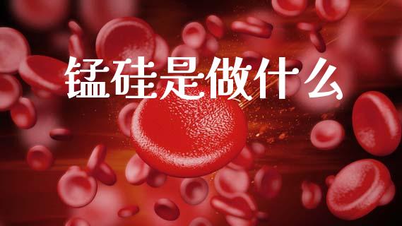 锰硅是做什么_https://wap.lcpcjs.com_全球经济_第1张