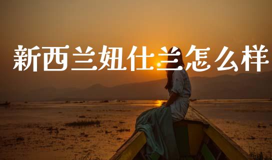 新西兰妞仕兰怎么样_https://wap.lcpcjs.com_外汇市场_第1张
