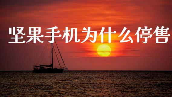 坚果手机为什么停售_https://wap.lcpcjs.com_股港行情_第1张