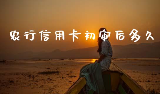 农行信用卡初审后多久_https://wap.lcpcjs.com_全球经济_第1张