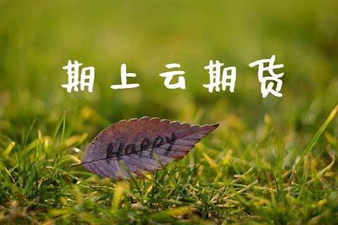 期上云期货_https://wap.lcpcjs.com_美股行情_第1张