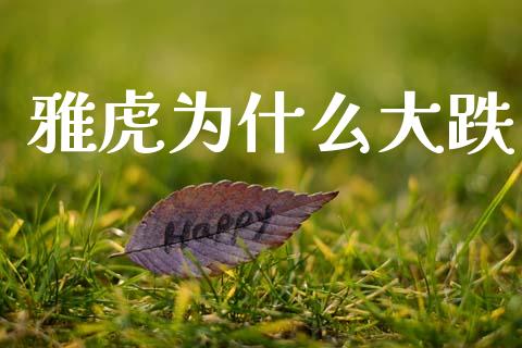 雅虎为什么大跌_https://wap.lcpcjs.com_外汇市场_第1张