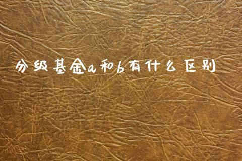 分级基金a和b有什么区别_https://wap.lcpcjs.com_外汇市场_第1张