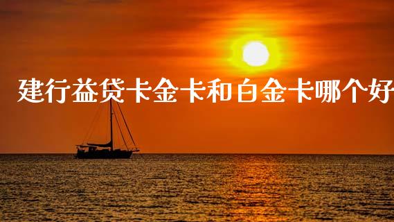 建行益贷卡金卡和白金卡哪个好_https://wap.lcpcjs.com_股港行情_第1张