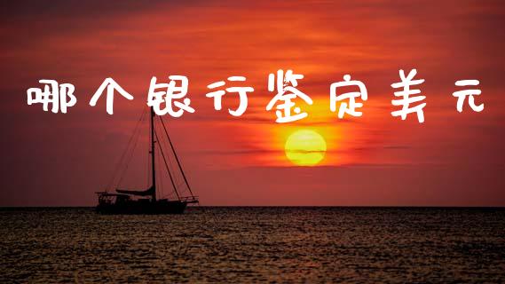 哪个银行鉴定美元_https://wap.lcpcjs.com_外汇市场_第1张