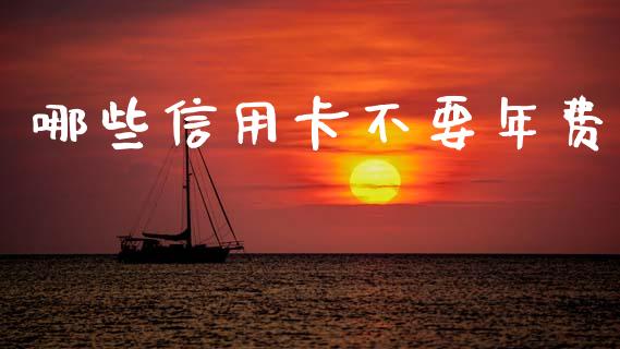 哪些信用卡不要年费_https://wap.lcpcjs.com_全球经济_第1张