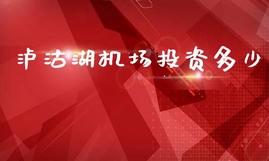 泸沽湖机场投资多少_https://wap.lcpcjs.com_全球经济_第1张