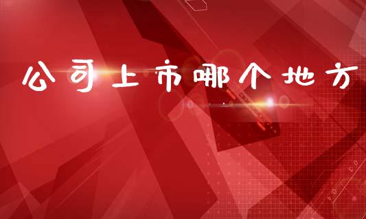 公司上市哪个地方_https://wap.lcpcjs.com_美股行情_第1张
