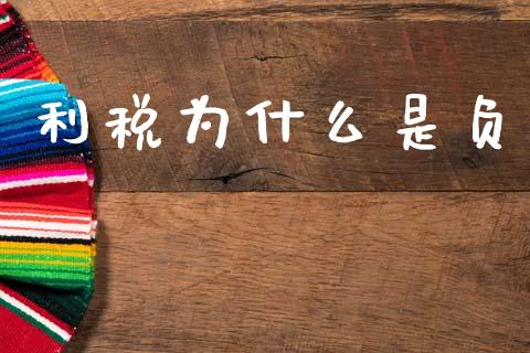 利税为什么是负_https://wap.lcpcjs.com_股港行情_第1张