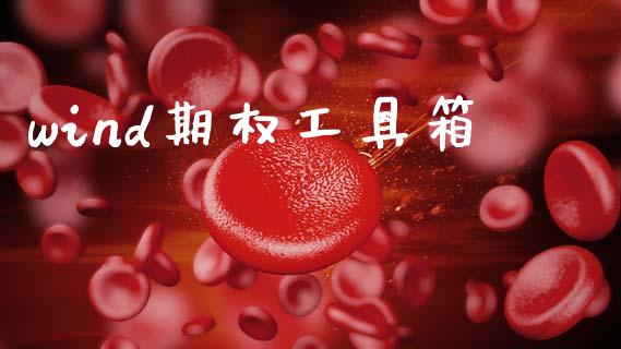 wind期权工具箱_https://wap.lcpcjs.com_股港行情_第1张