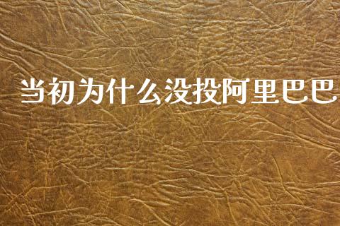 当初为什么没投阿里巴巴_https://wap.lcpcjs.com_股港行情_第1张