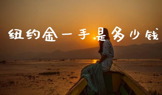纽约金一手是多少钱_https://wap.lcpcjs.com_全球经济_第1张