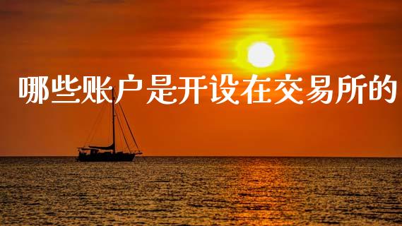 哪些账户是开设在交易所的_https://wap.lcpcjs.com_美股行情_第1张