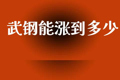 武钢能涨到多少_https://wap.lcpcjs.com_美股行情_第1张