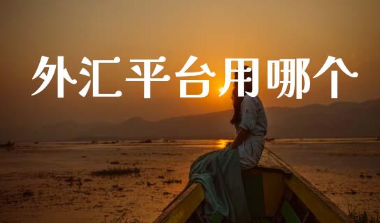 外汇平台用哪个_https://wap.lcpcjs.com_外汇市场_第1张